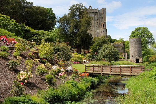 Tour image 11