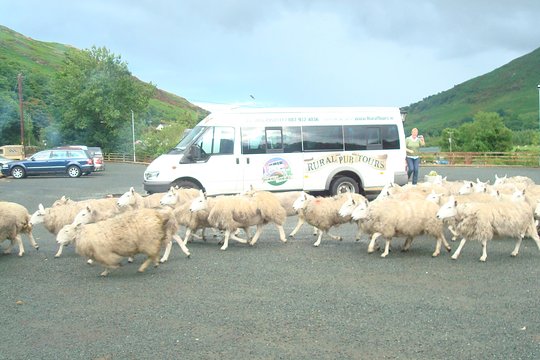 Tour image 8