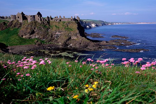 Tour image 7
