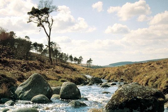 Tour image 11