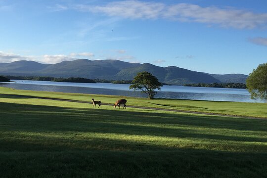 Tour image 5